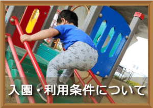 画像の説明 画像の説明