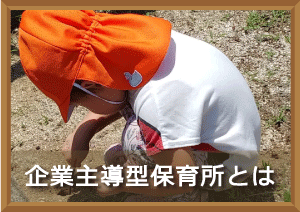 画像の説明 画像の説明