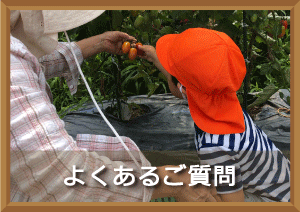 画像の説明 画像の説明